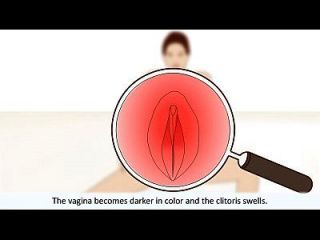 женский оргазм объяснил