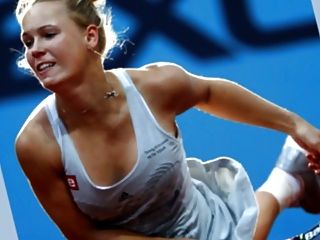 сексуальные теннисные красавицы Ivanovic, Wozniacki, шарапова