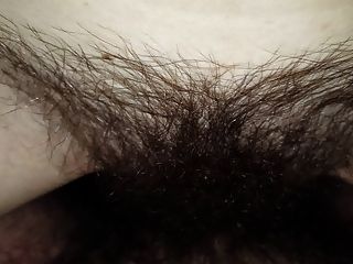 перекачивая груз в волосатую пизда моей жены